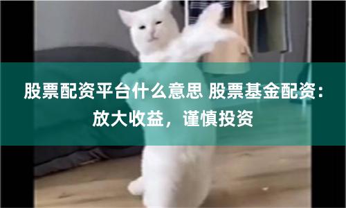 股票配资平台什么意思 股票基金配资：放大收益，谨慎投资