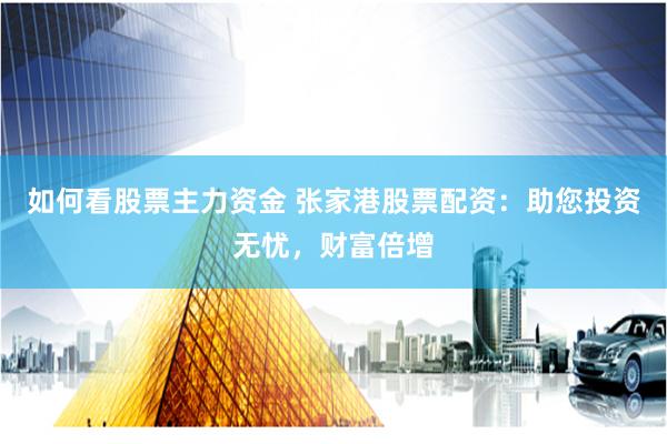 如何看股票主力资金 张家港股票配资：助您投资无忧，财富倍增