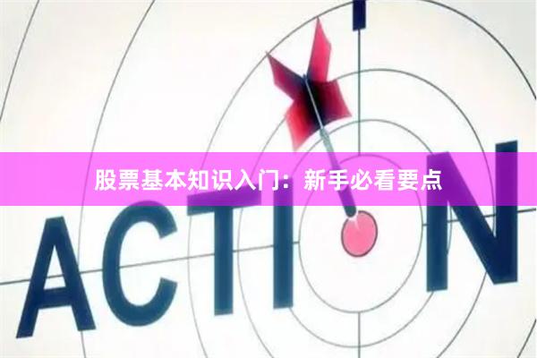 股票基本知识入门：新手必看要点
