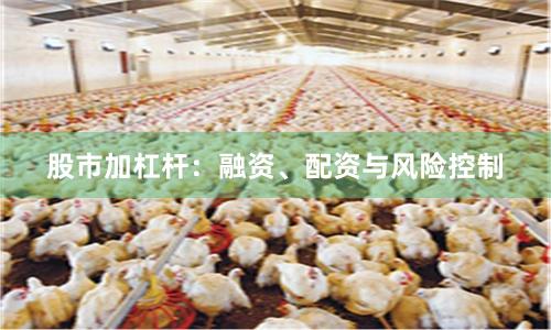 股市加杠杆:融资、配资与风险控制