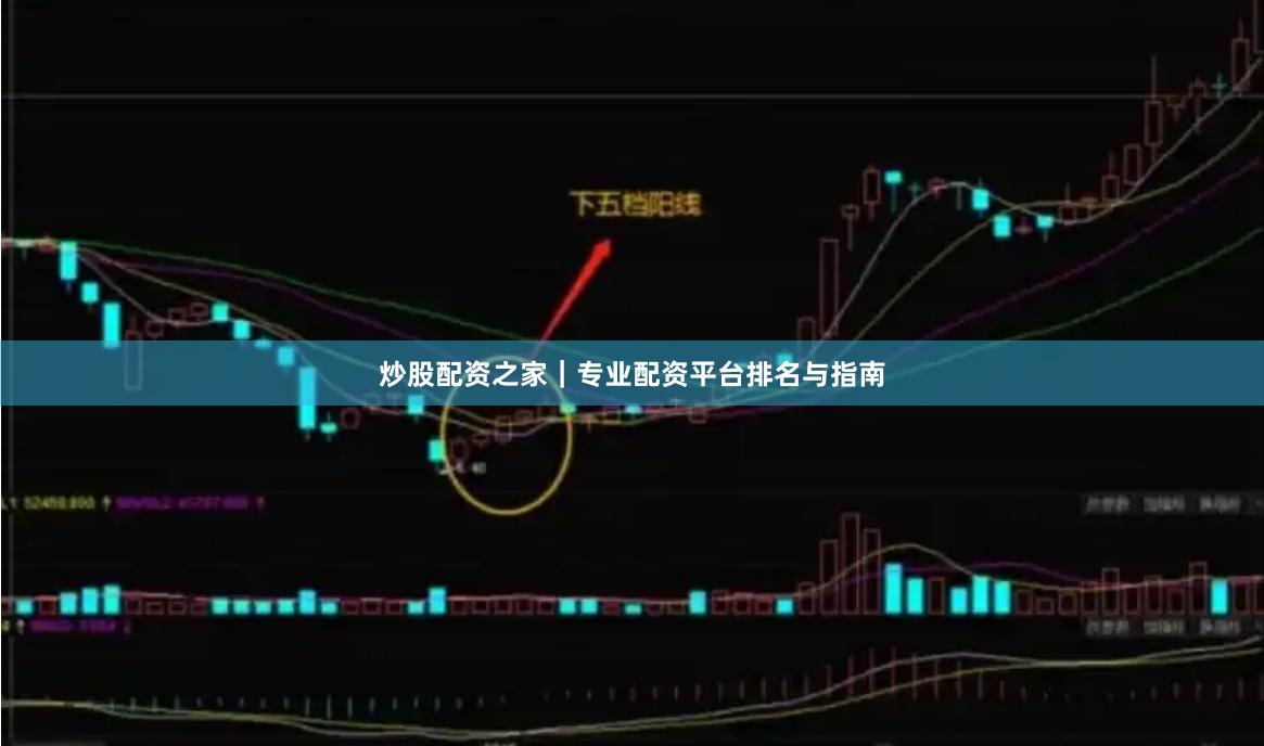 炒股配资之家｜专业配资平台排名与指南